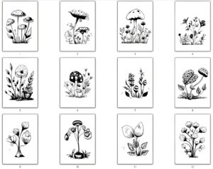 Wunderblume